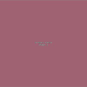 Example Product 4729