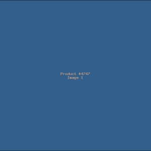 Example Product 4747