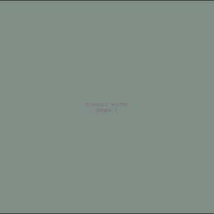 Example Product 4758