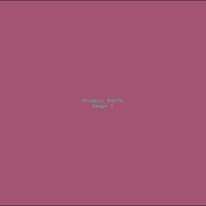 Example Product 4770