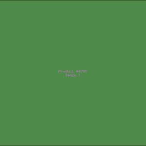 Example Product 4789