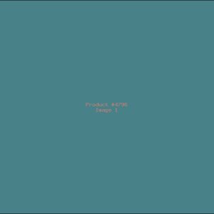 Example Product 4796