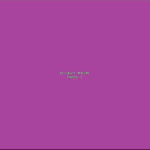 Example Product 4809