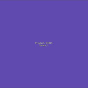 Example Product 4810