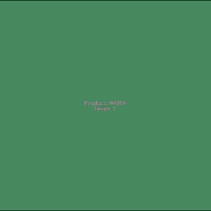 Example Product 4830