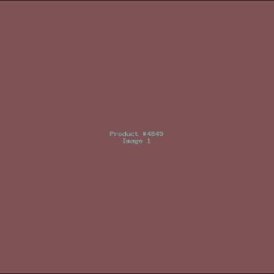 Example Product 4849