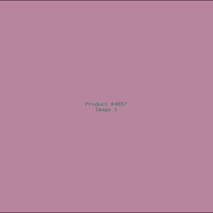 Example Product 4857