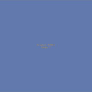 Example Product 4861