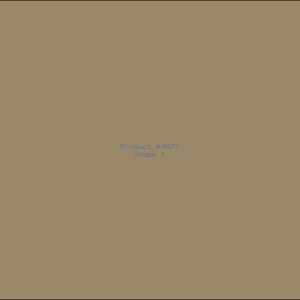 Example Product 4872