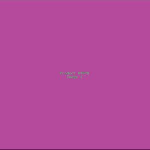 Example Product 4878