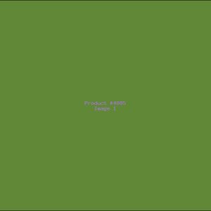 Example Product 4885