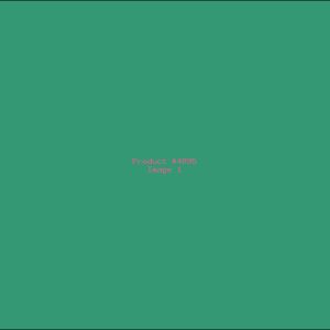 Example Product 4895