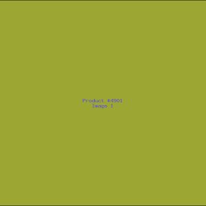 Example Product 4901