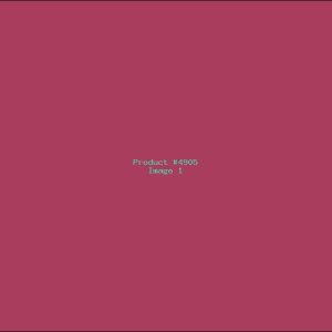 Example Product 4905