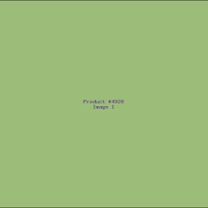 Example Product 4928