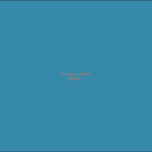 Example Product 4939