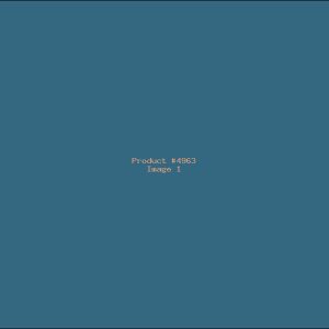 Example Product 4963