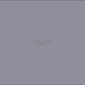 Example Product 4984