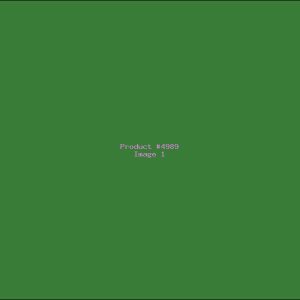 Example Product 4989