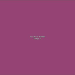 Example Product 5008