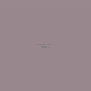 Example Product 5010