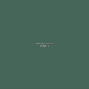 Example Product 5017