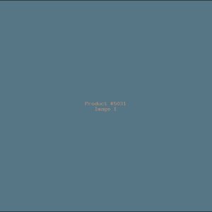 Example Product 5031