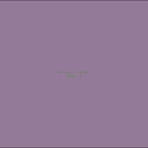 Example Product 5046