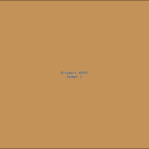 Example Product 505