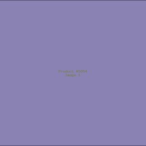 Example Product 5054