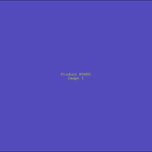 Example Product 5055