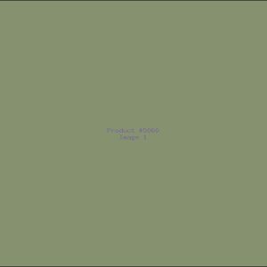 Example Product 5060