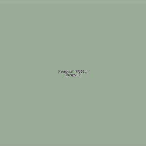 Example Product 5061