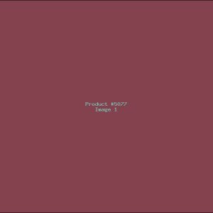 Example Product 5077