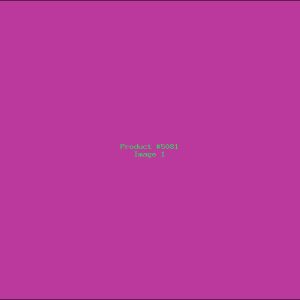 Example Product 5081