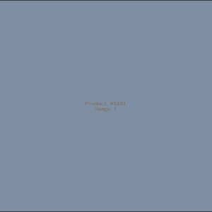 Example Product 5161