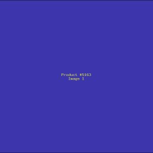 Example Product 5163