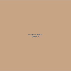 Example Product 5172