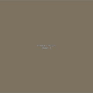 Example Product 5202