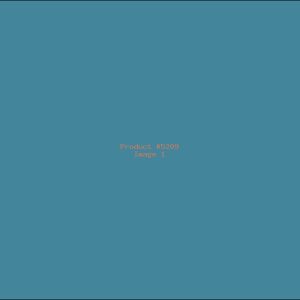 Example Product 5209