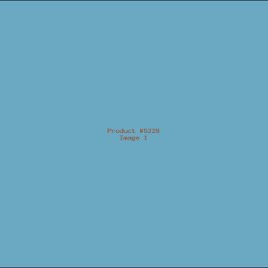 Example Product 5228