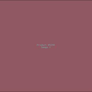 Example Product 5248