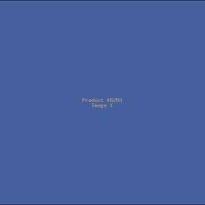 Example Product 5259