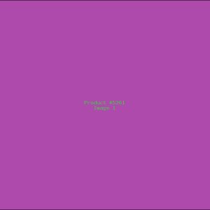 Example Product 5261