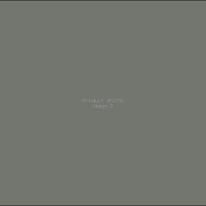 Example Product 5279