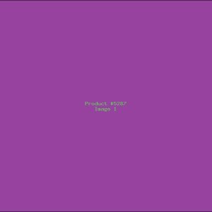 Example Product 5287