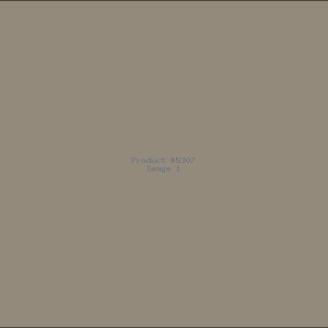 Example Product 5307