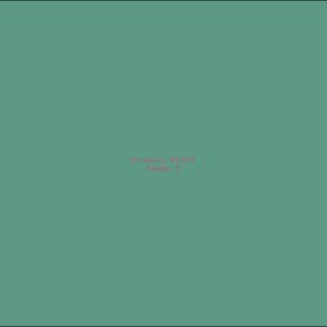 Example Product 5321