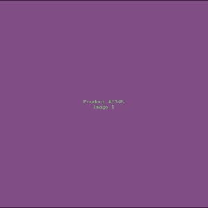 Example Product 5348