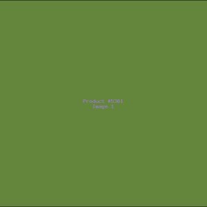 Example Product 5361